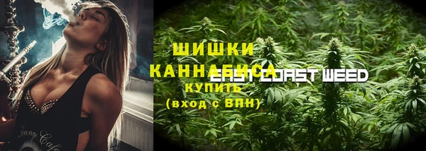 крисы Богородск