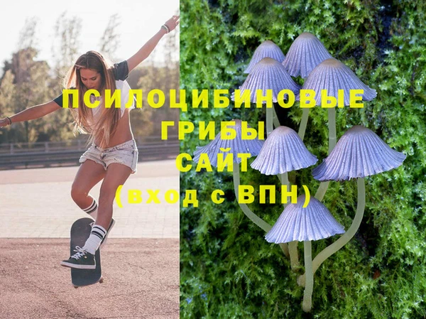 метамфетамин Богородицк