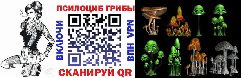 Галлюциногенные грибы мухоморы  купить наркотик  Городовиковск 