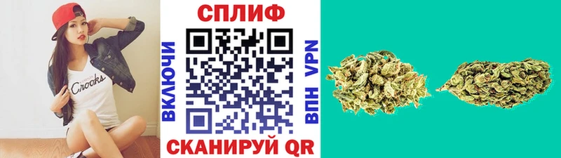 Каннабис MAZAR  мориарти телеграм  Городовиковск  как найти наркотики 